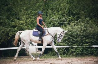 Image de l'annonce Recherche cheval à confier