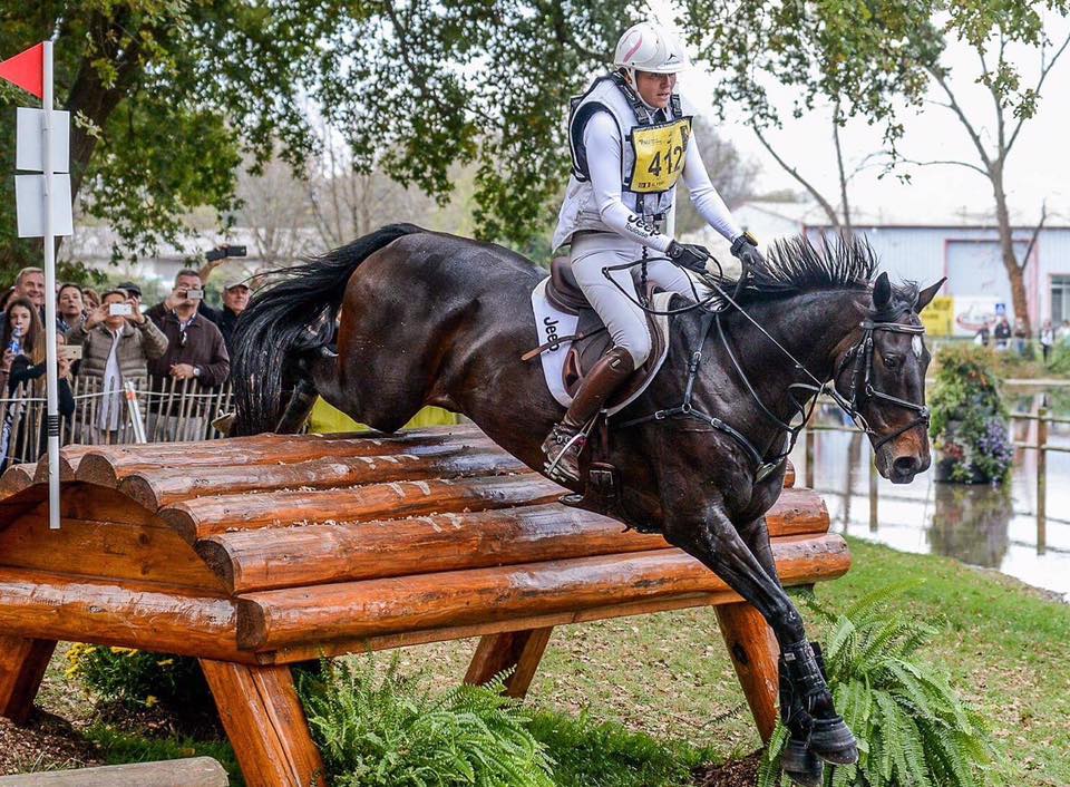 Image de l'annonce Top poulain neveu DIRECT de Romantic Love CCI5*