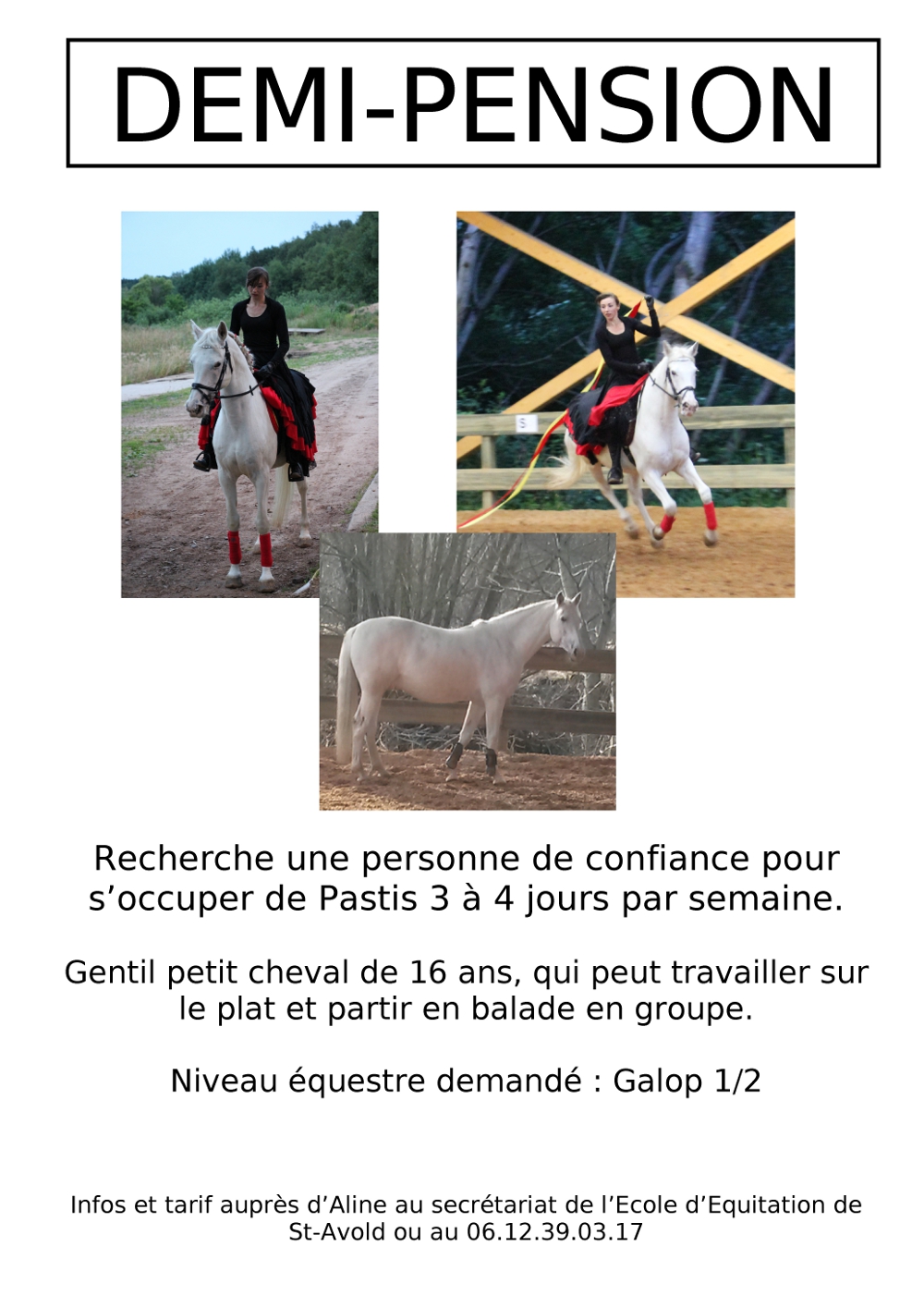 Image de l'annonce Demi-pension sur hongre