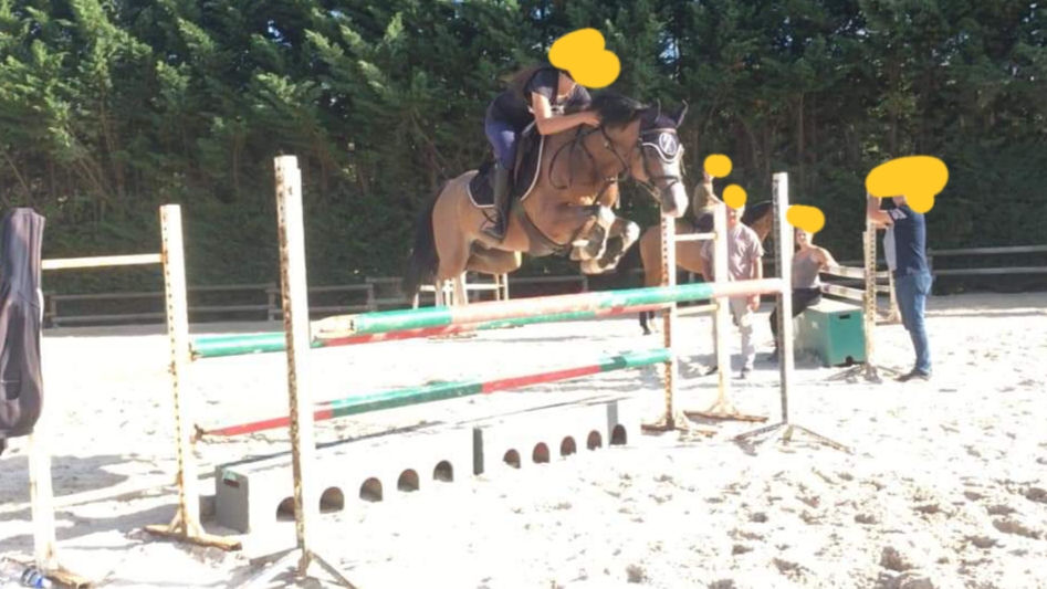Image de l'annonce A VENDRE TOP PONEY WELSH 7 ANS
