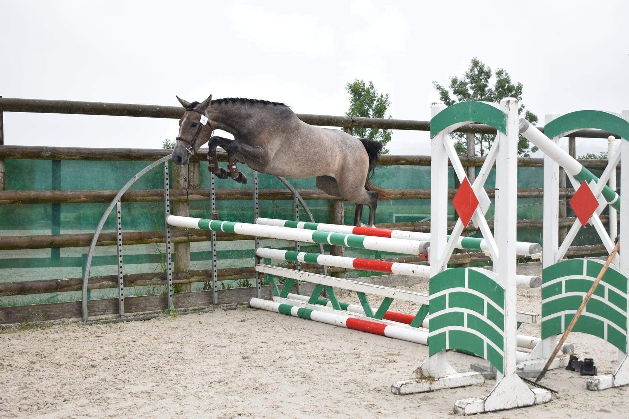 Image de l'annonce Vend poney de sport