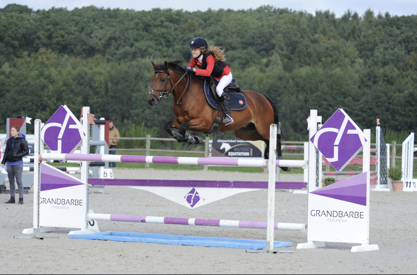 Image de l'annonce PONEY GAGNANT EN AS PONEY 1