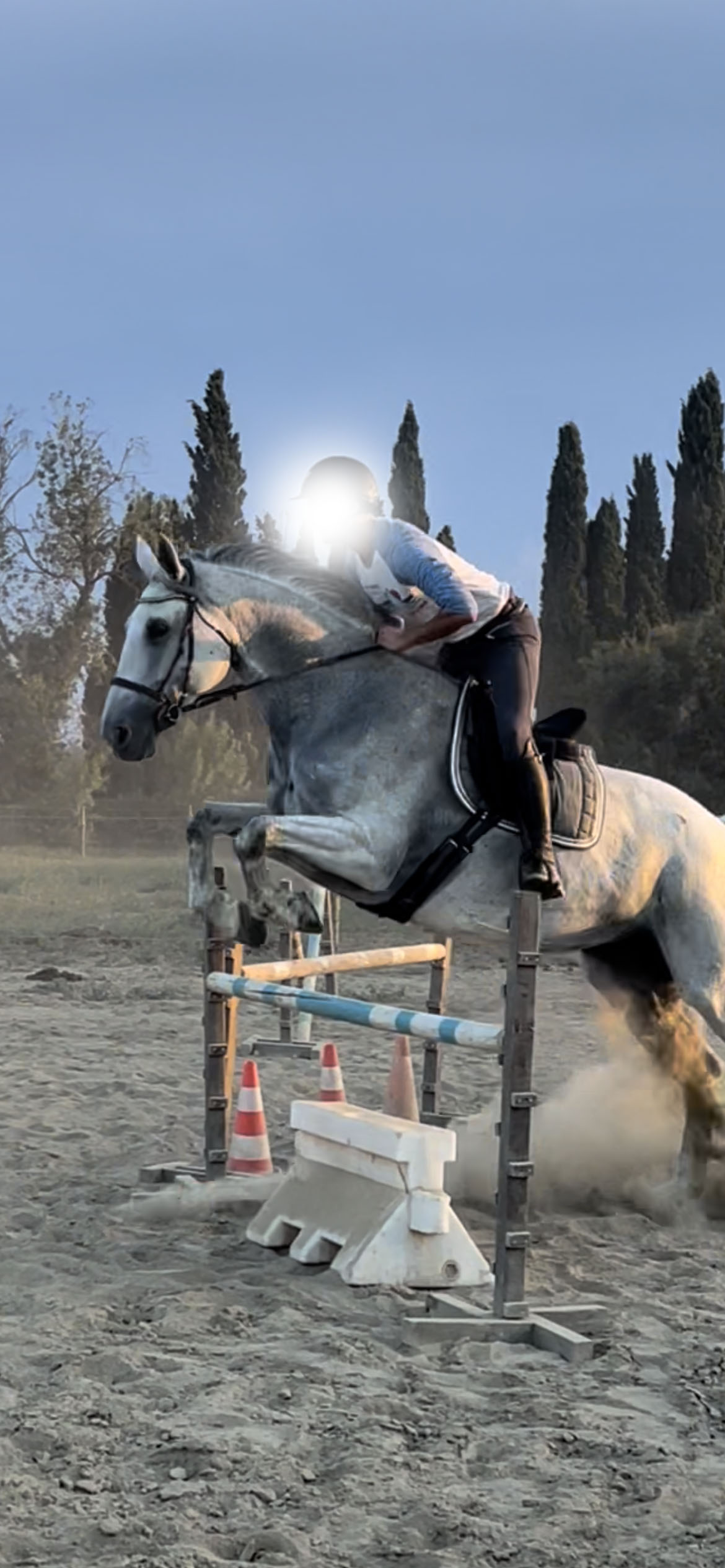 Image de l'annonce Jolie jument cso