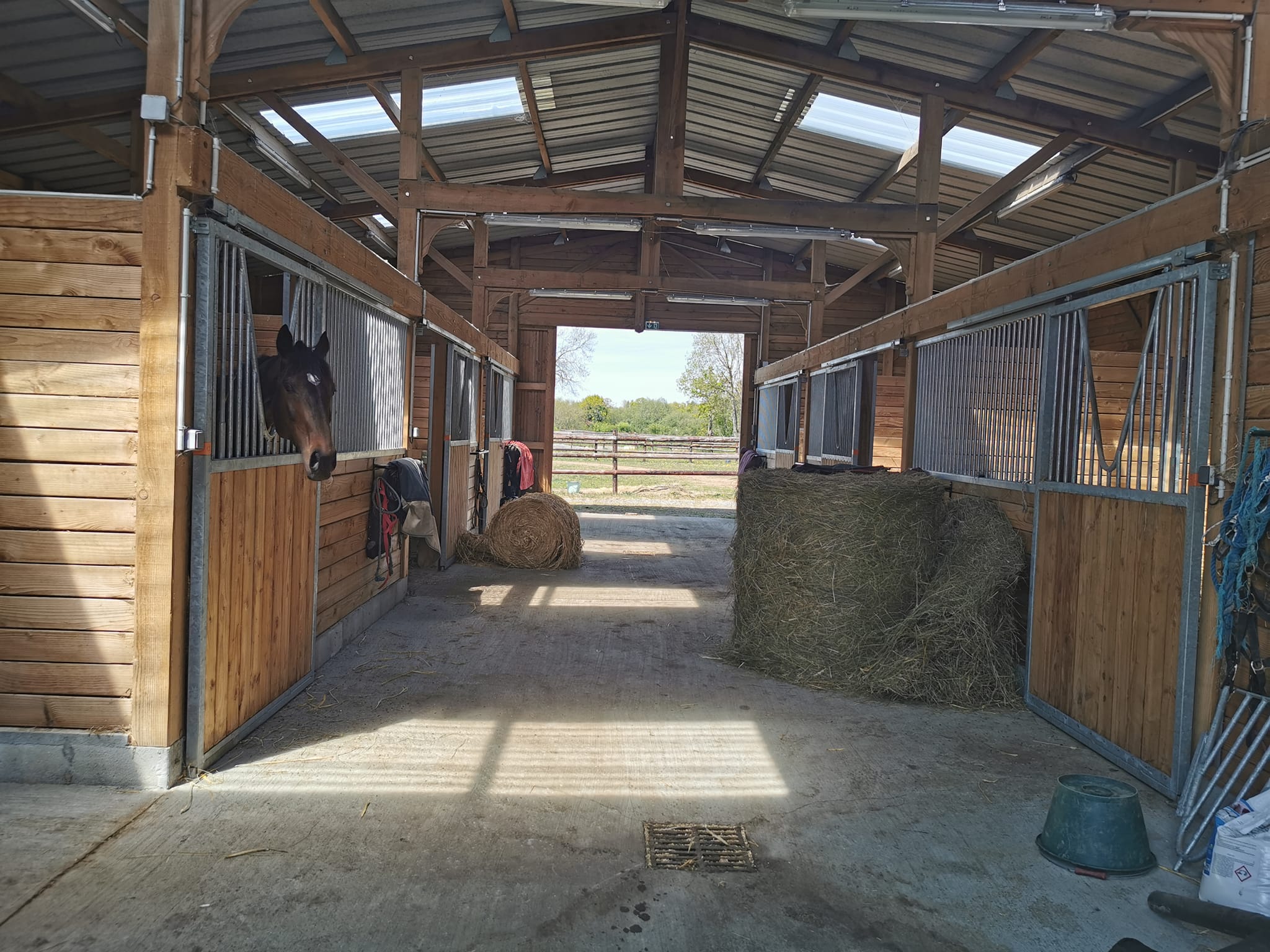 Image de l'annonce Pension chevaux à la carte
