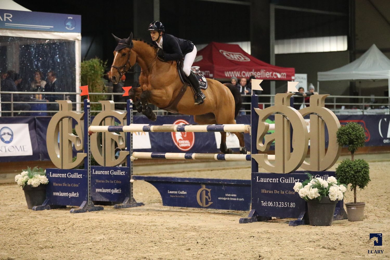 Image de l'annonce Bugaty de l'Abbaye 11 ans CSO