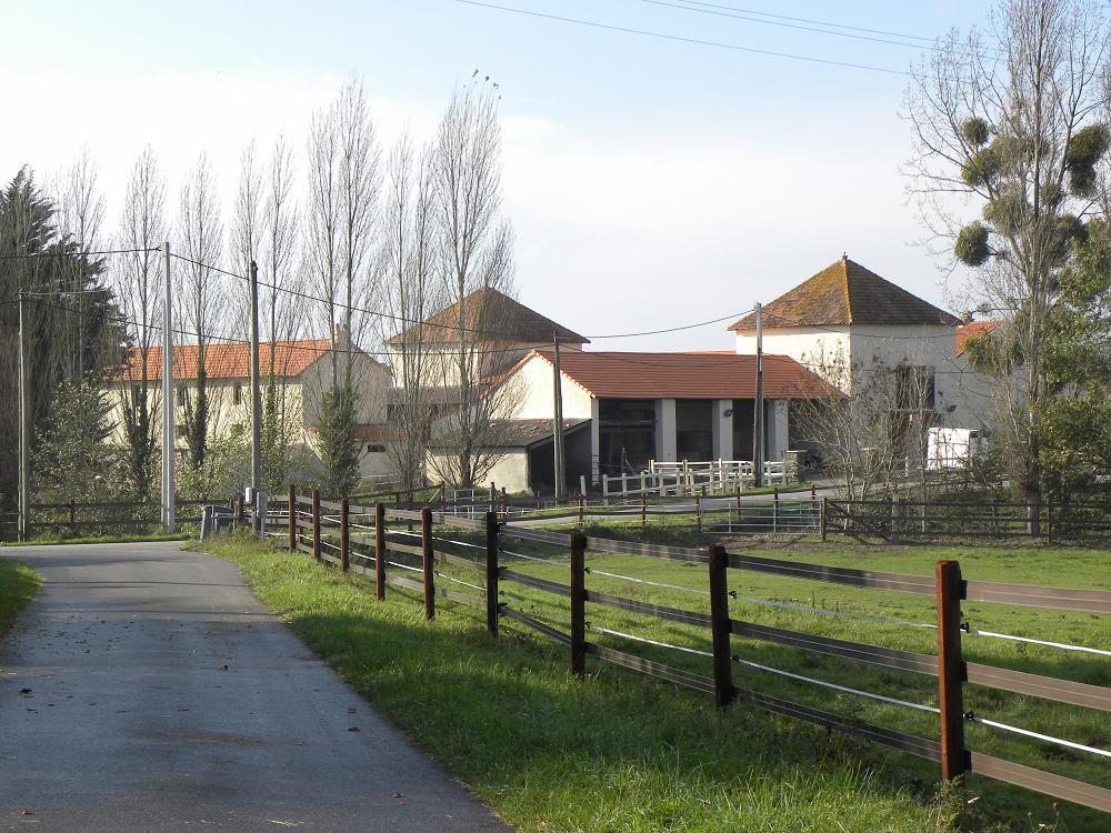 Image de l'annonce Loue barns dans écurie proche Nantes Nord