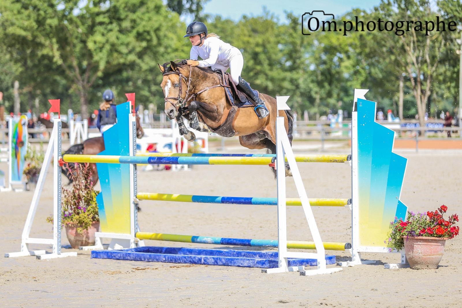 Image de l'annonce PONEY GRAND PRIX EXCELLENCE