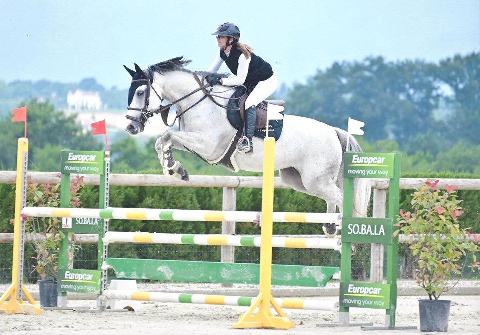 Image de l'annonce Jument grise, 6 ans ayant suivi le circuit classique à 4 et 5 ans. Qualifiée à 4 ans FONTAINEBLEAU.