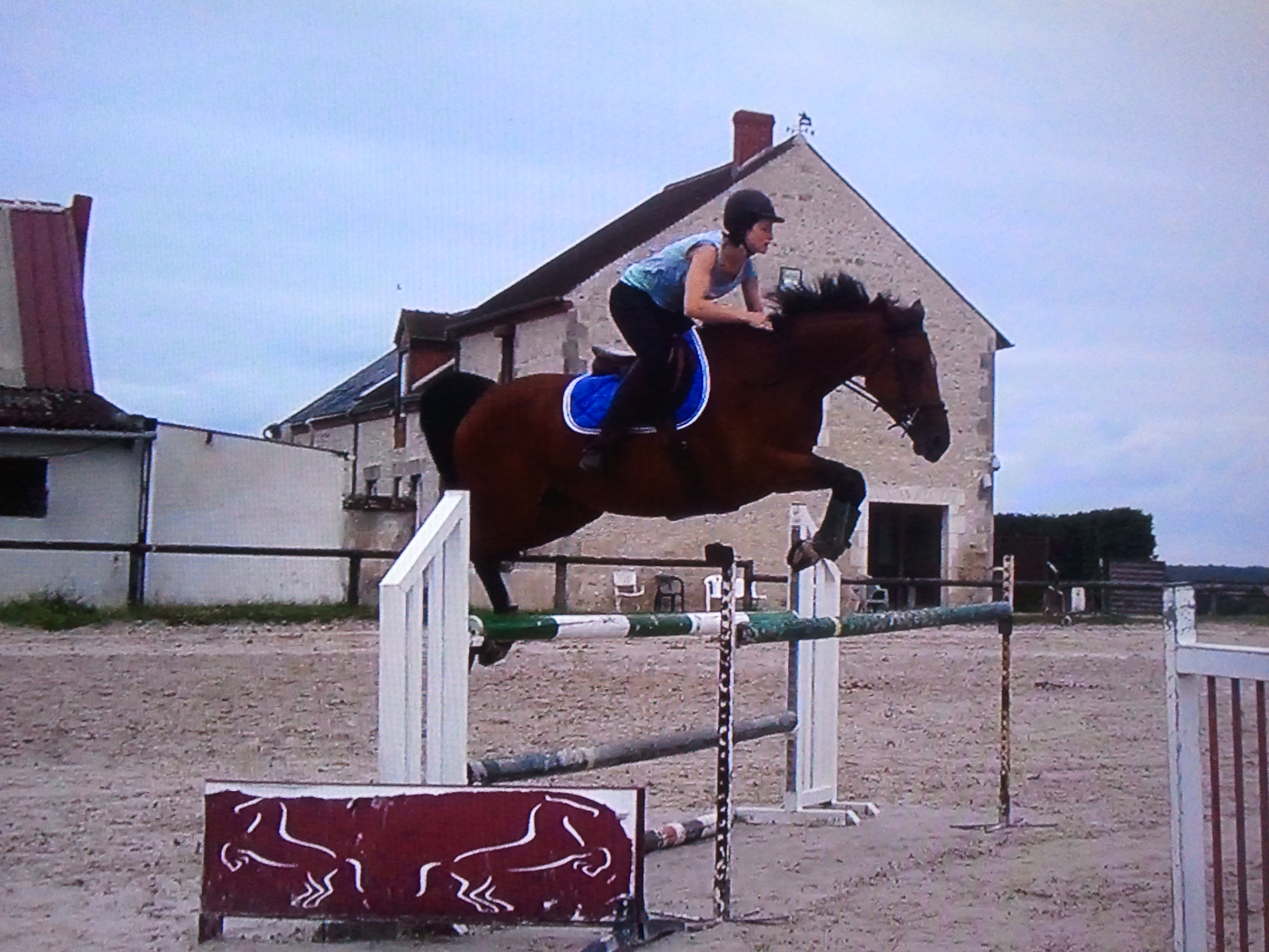 Image de l'annonce Jument 12 ans CSO Mylord Carthago