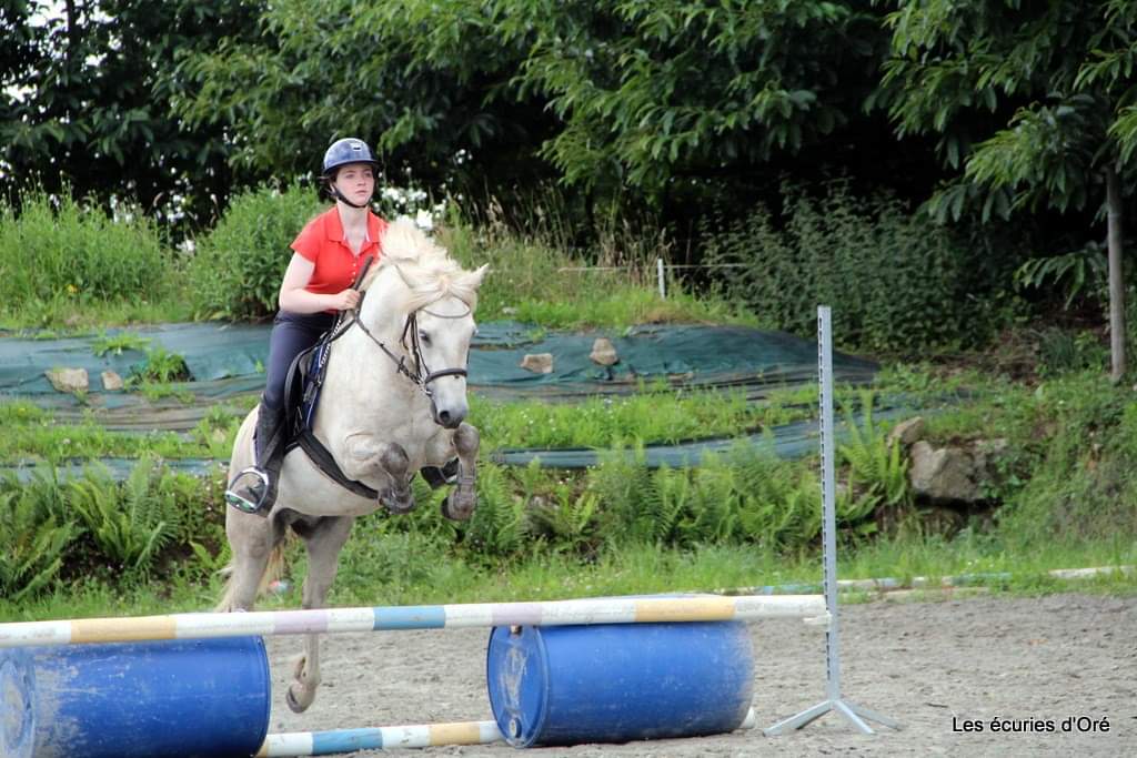 Image de l'annonce Poney connemara
