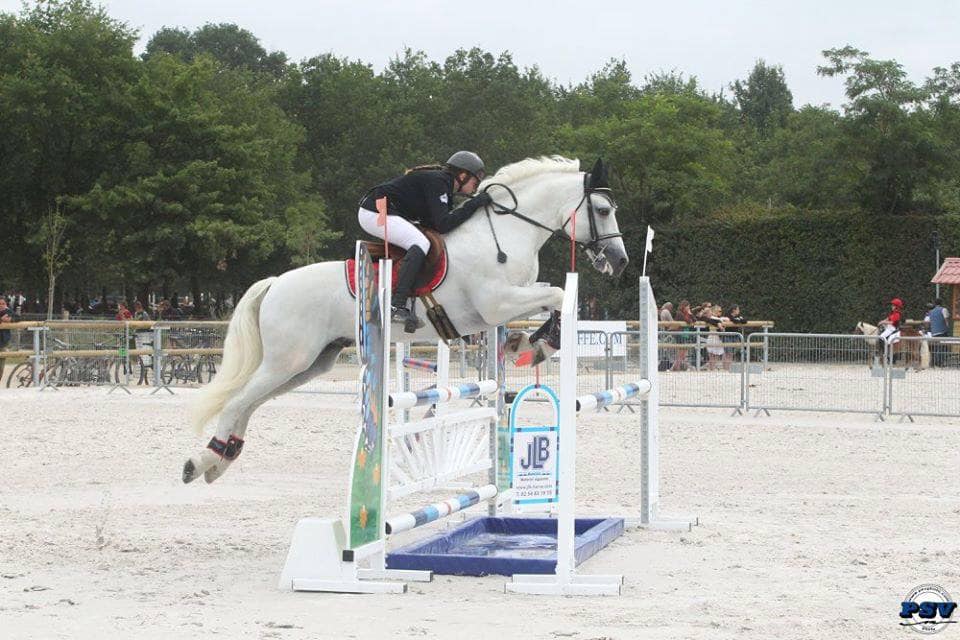 Image de l'annonce Poney de As1/GP CCE disponible à la vente -147cms-