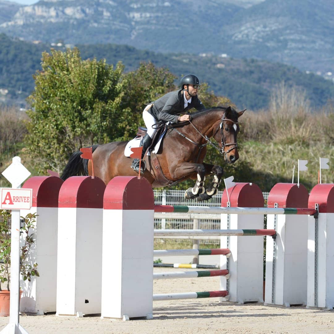 Image de l'annonce Top jument de cso kwpn