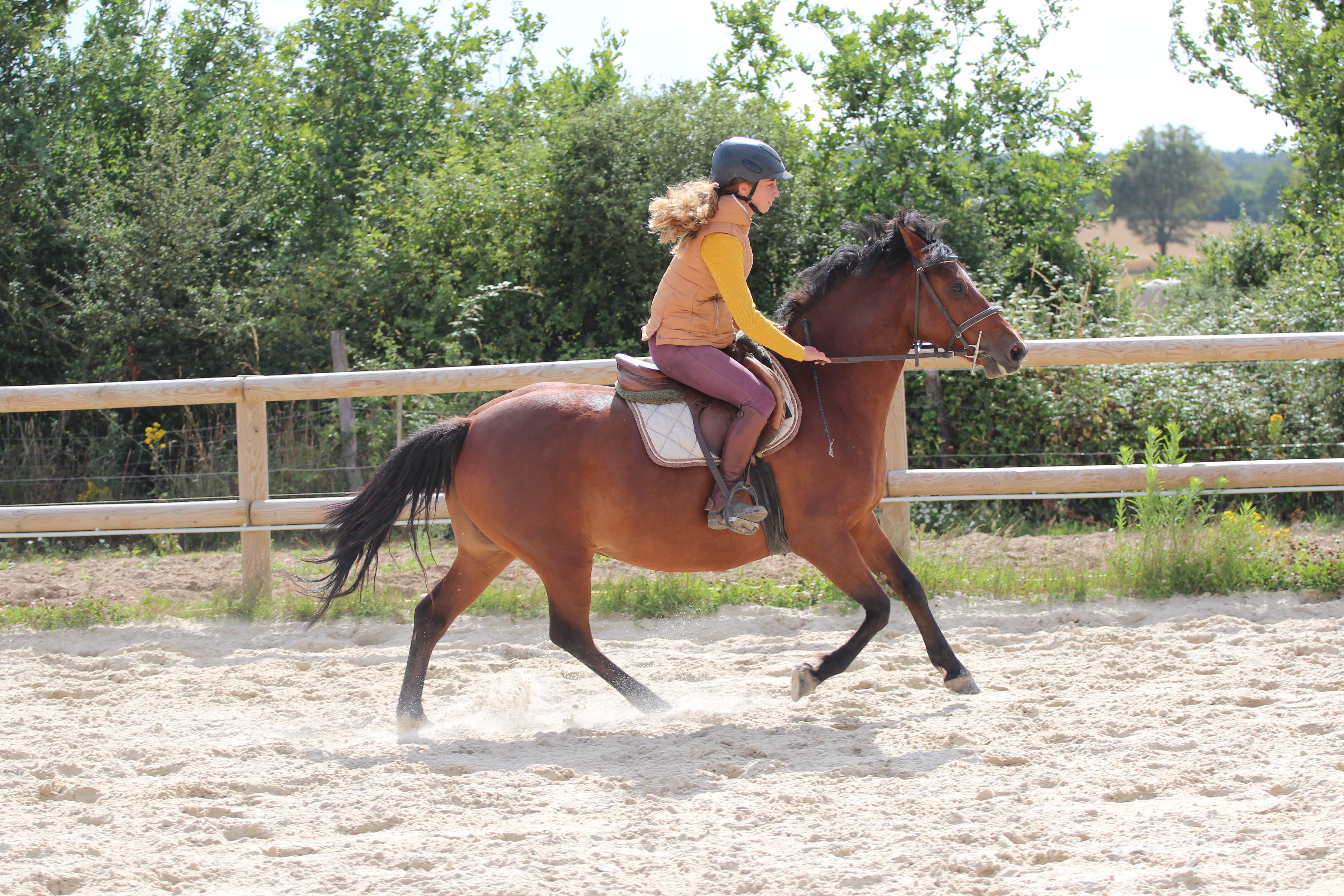 Image de l'annonce Ponette 4 ans OC