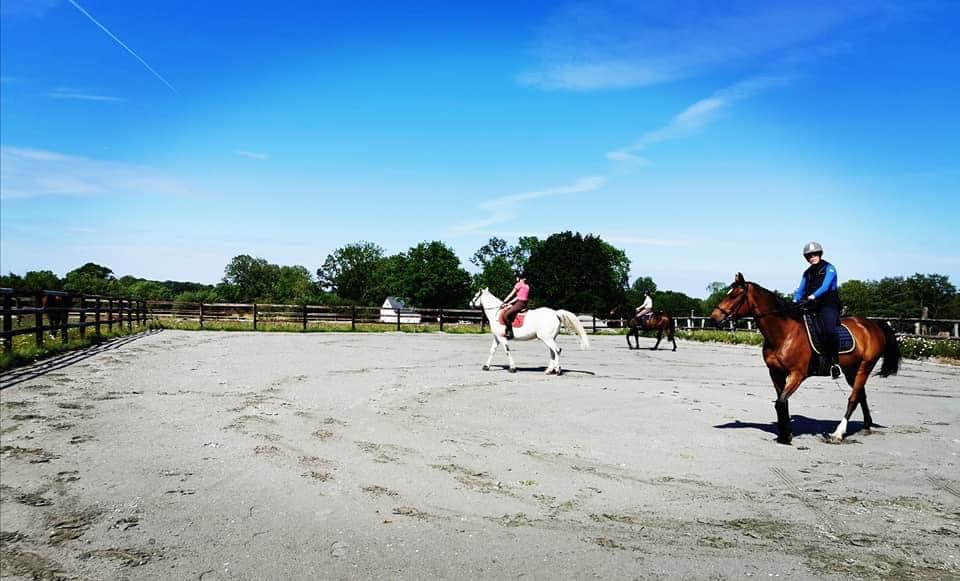 Image de l'annonce Pension chevaux à la carte