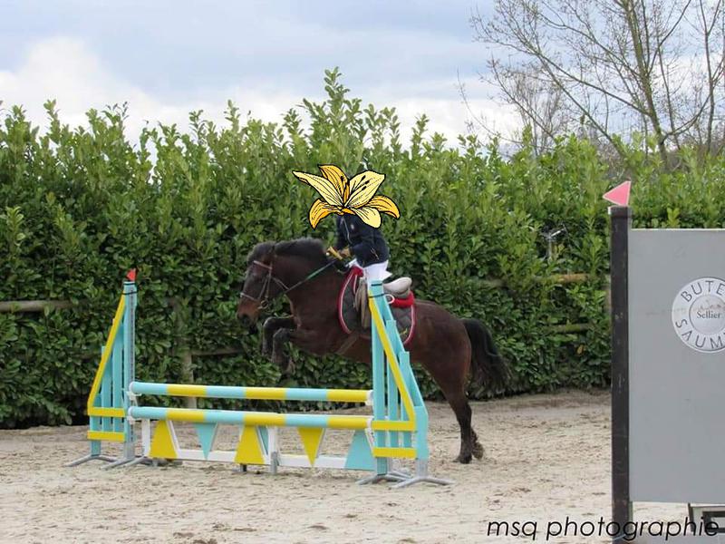 Image de l'annonce Poney ONC