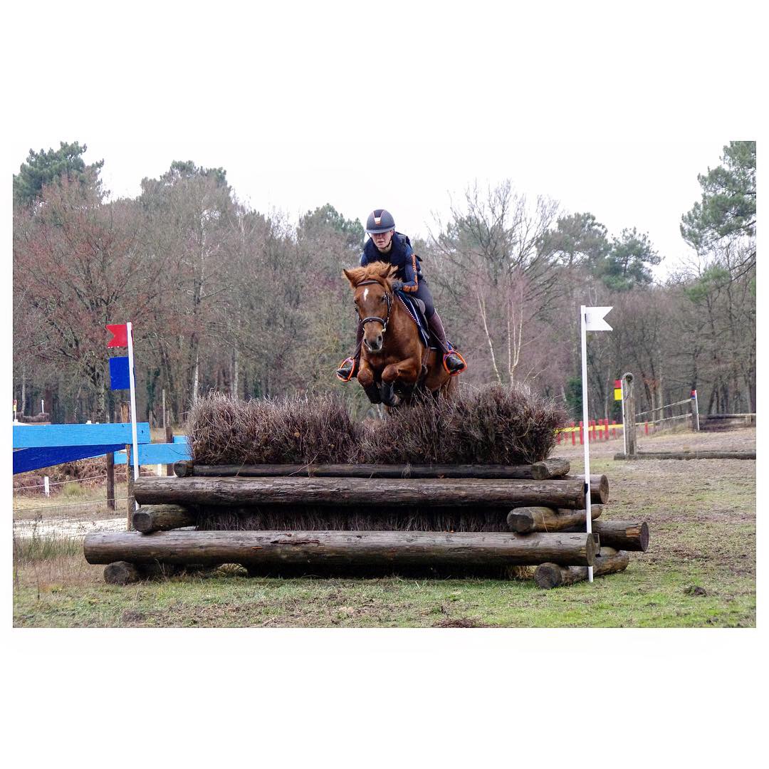 Image de l'annonce A vendre - Ponette D 4 ans pour As2 CSO/CCE