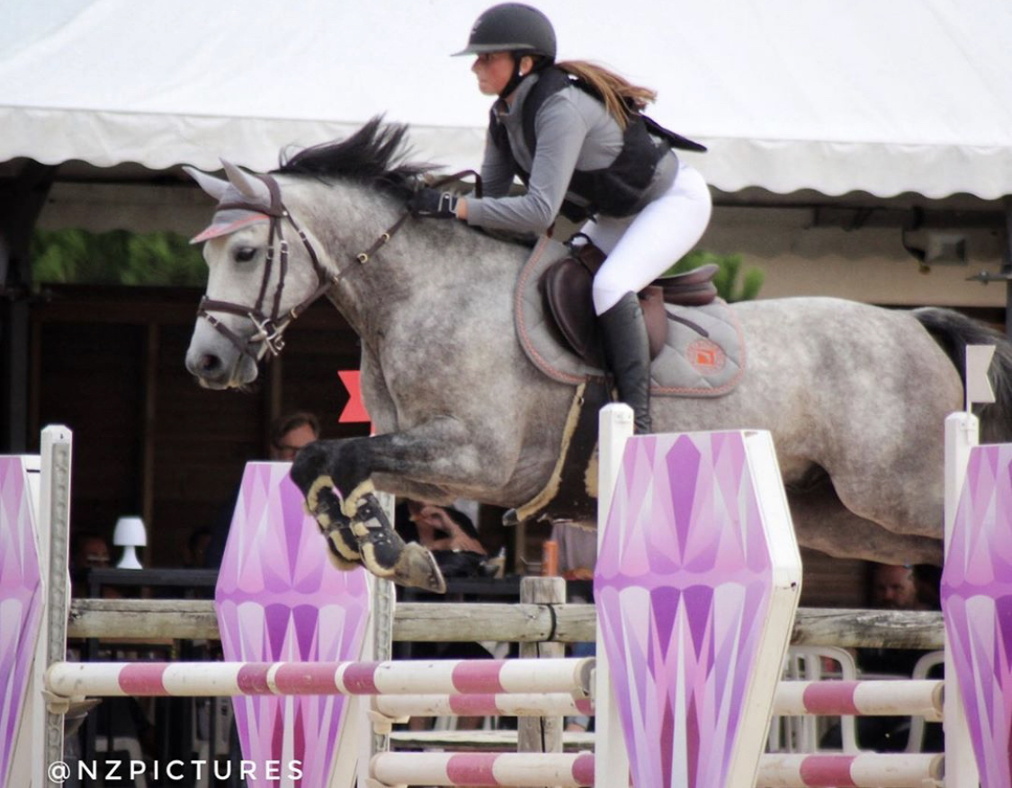 Image de l'annonce Magnifique poney de 7 ans , gagnant TDA