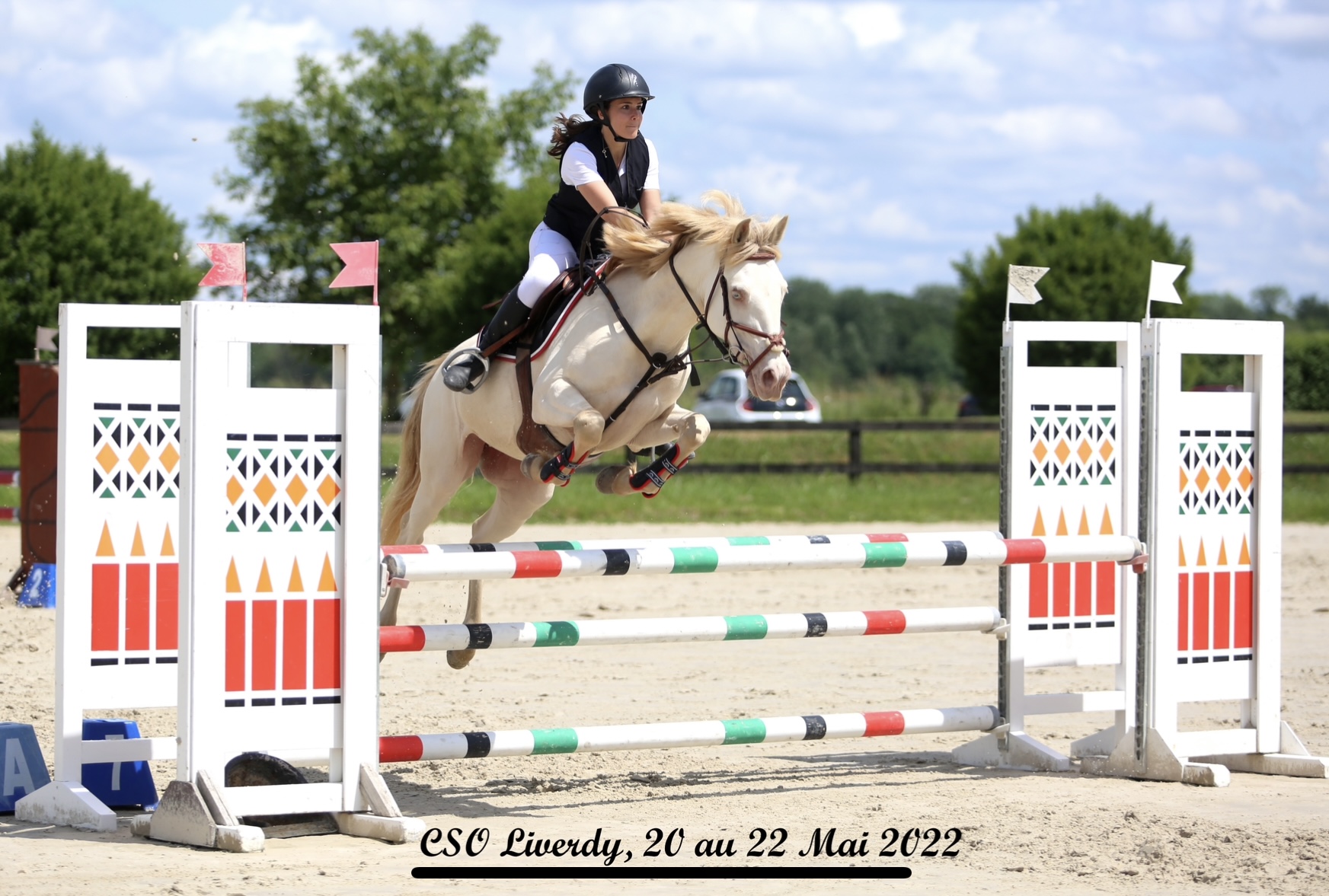 Image de l'annonce Ponette D 8 ans 148cm pour AS P1