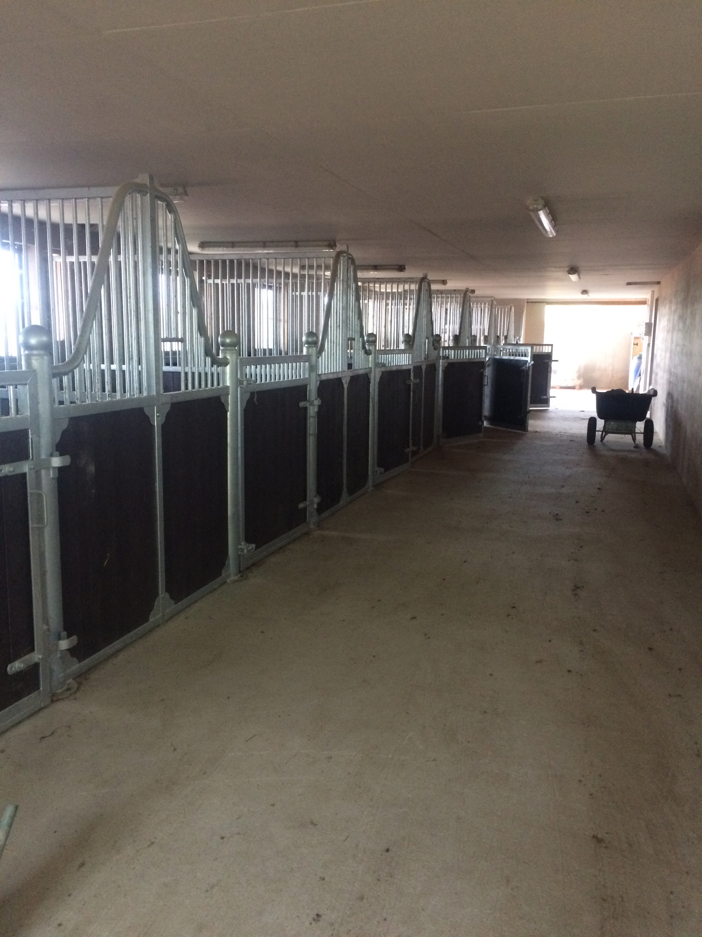Image de l'annonce Pension cheval en box avec terrasse avec sorties au paddock