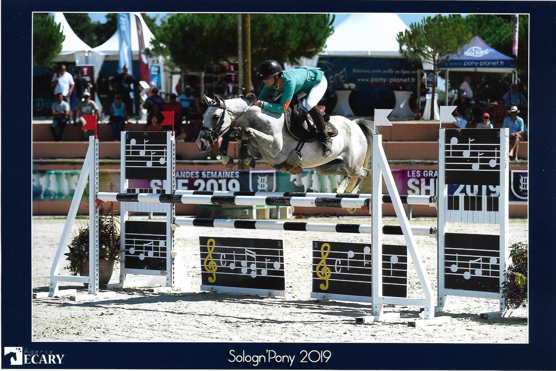 Image de l'annonce French jumping pony