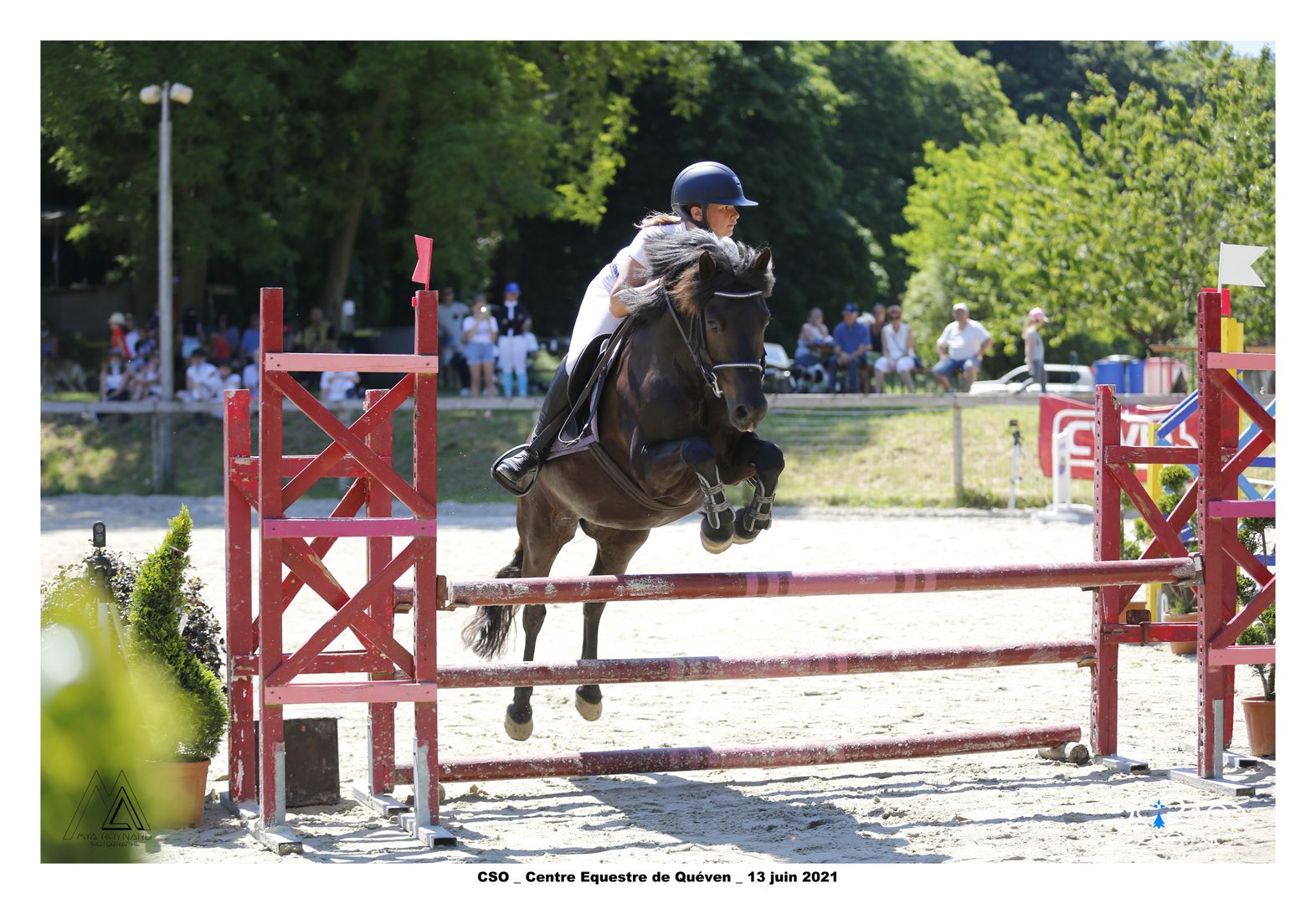 Image de l'annonce JOLI PONEY SPORT (C)