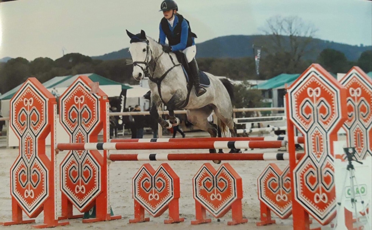 Image de l'annonce Ponette 7 ans, à vendre, potentiel grand prix