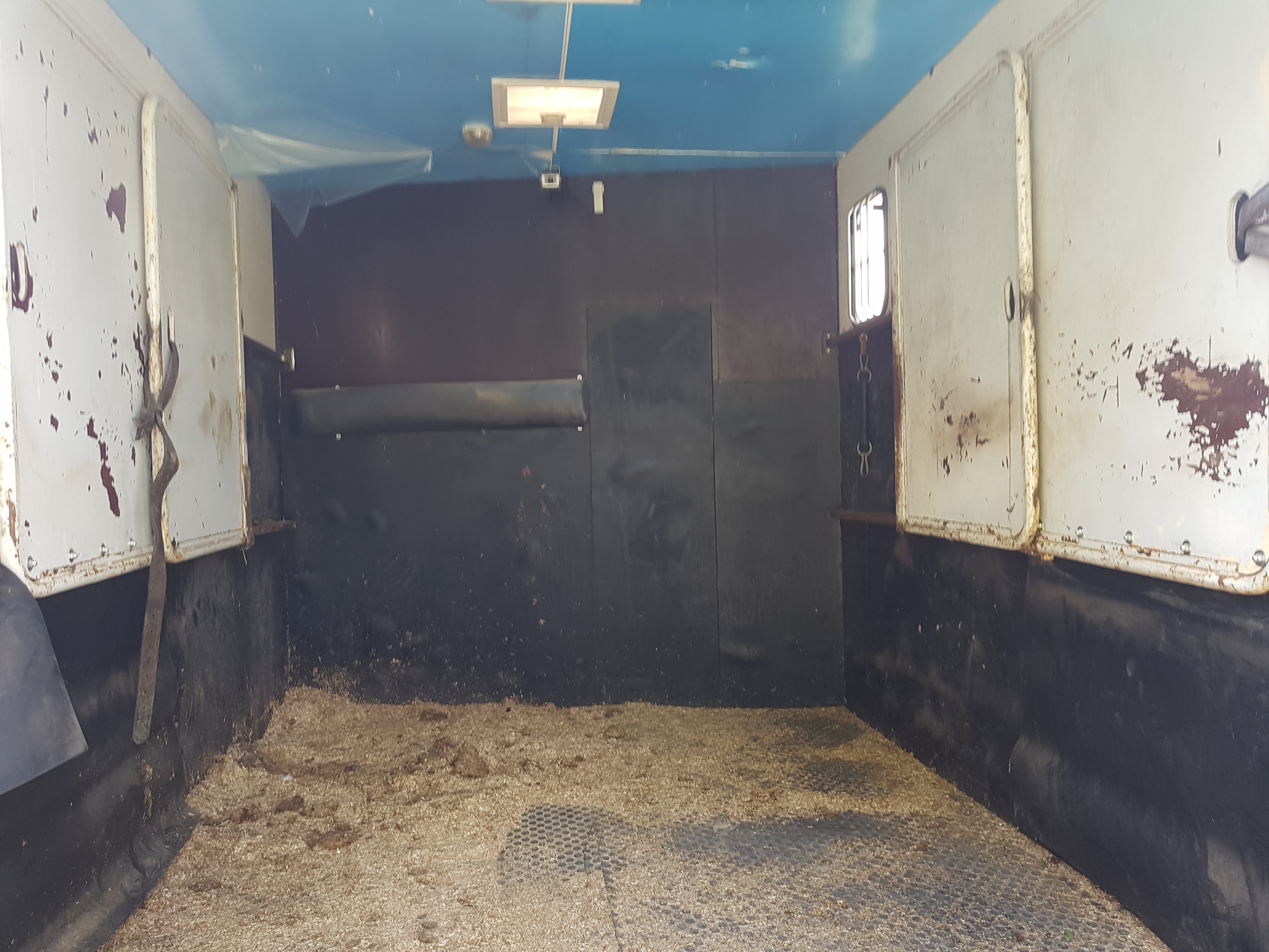 Image de l'annonce CAMION CHEVAUX PL