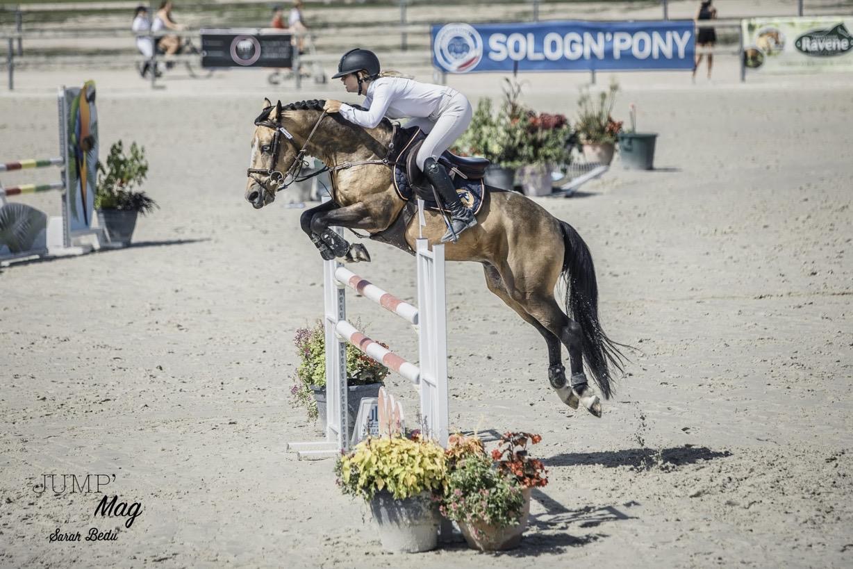 Image de l'annonce PONEY GRAND PRIX EXCELLENCE