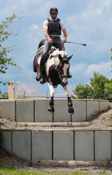 Image de l'annonce Jument d’avenir (Diamnt de Semilly x Balou du rouet)