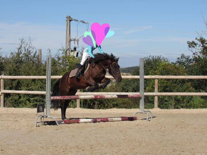 Image de l'annonce Poney ONC