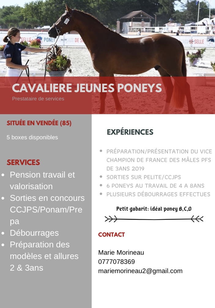 Image de l'annonce Cavalière poney: Valorisation/Debourage/Modeles et allures