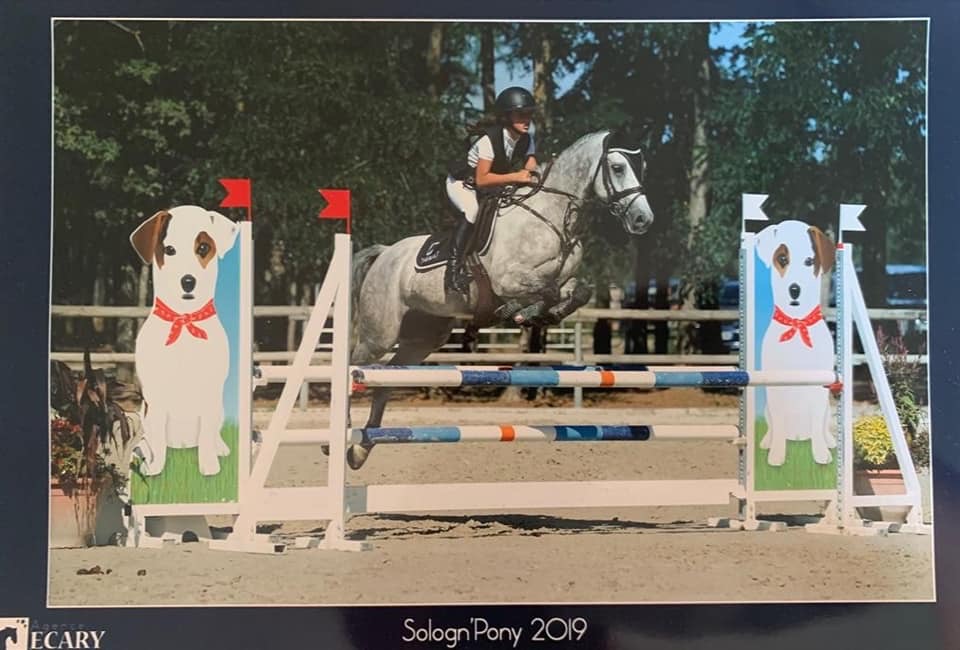 Image de l'annonce Magnifique poney de 7 ans , gagnant TDA