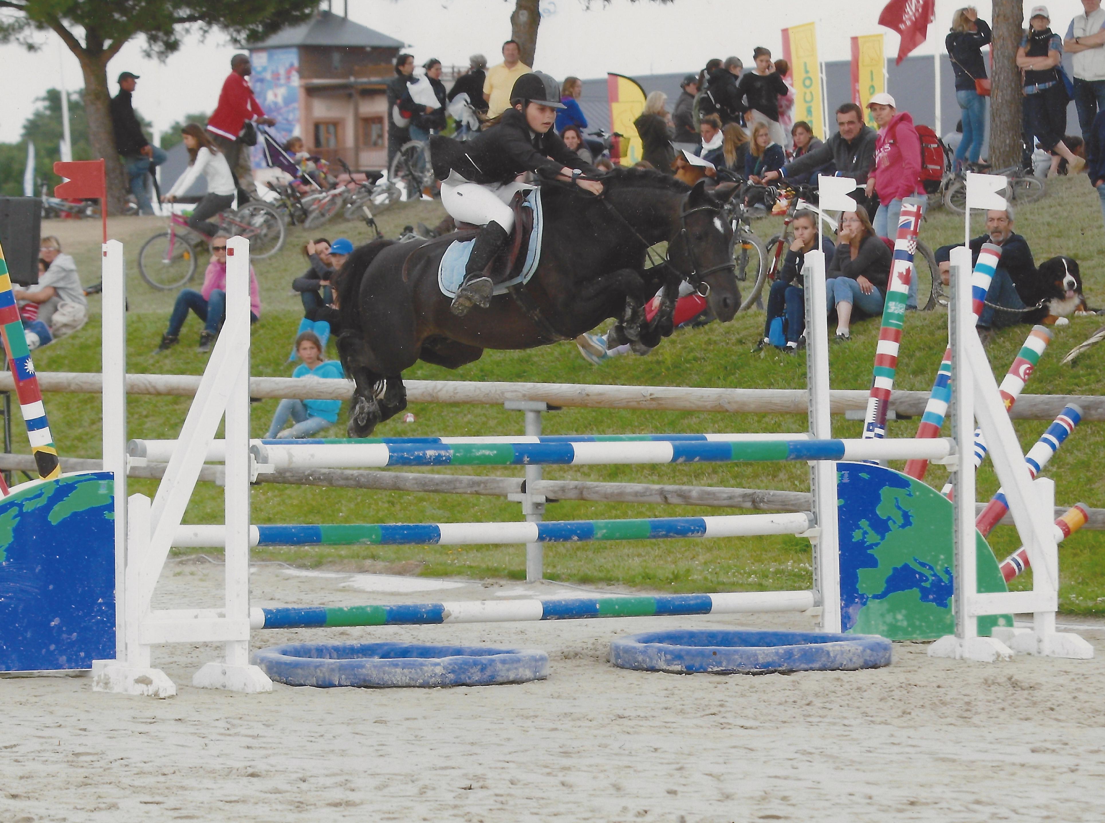 Image de l'annonce Poney multi médaillé d'1m30, monte en main ou en IAC