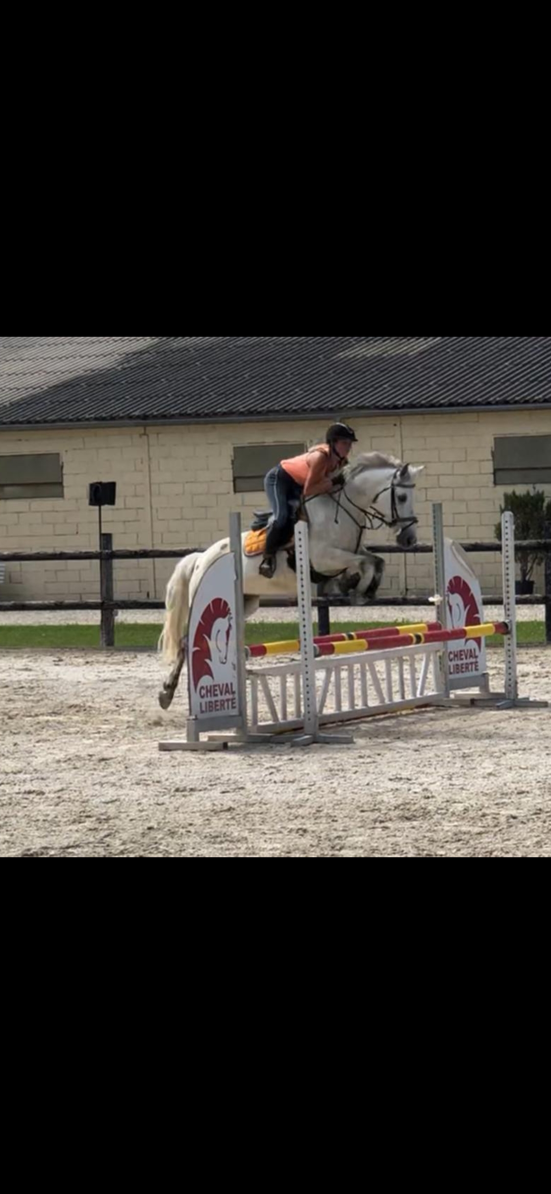 Image de l'annonce Poney D CSO