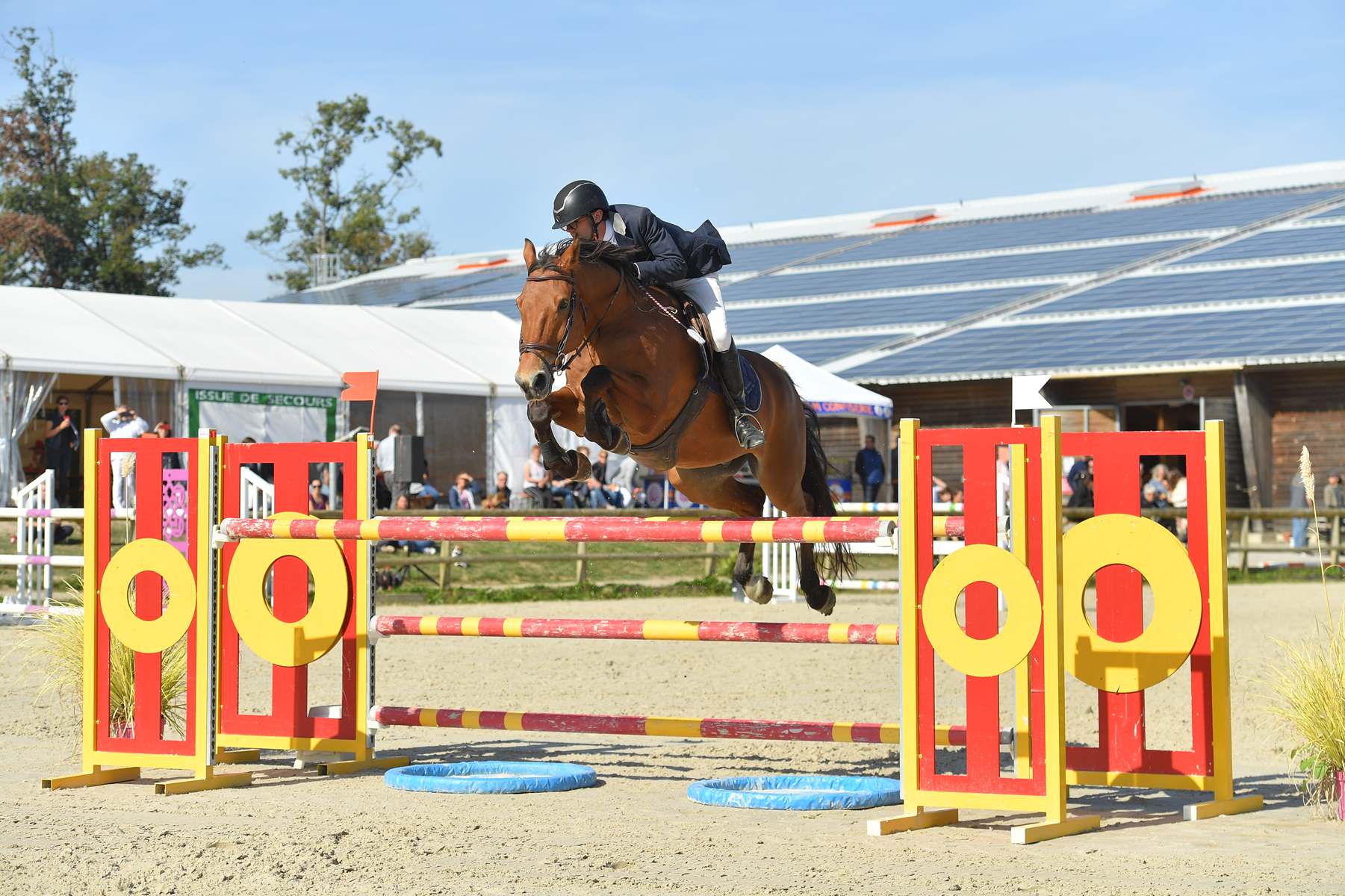 Image de l'annonce Cheval 9 ans CSO