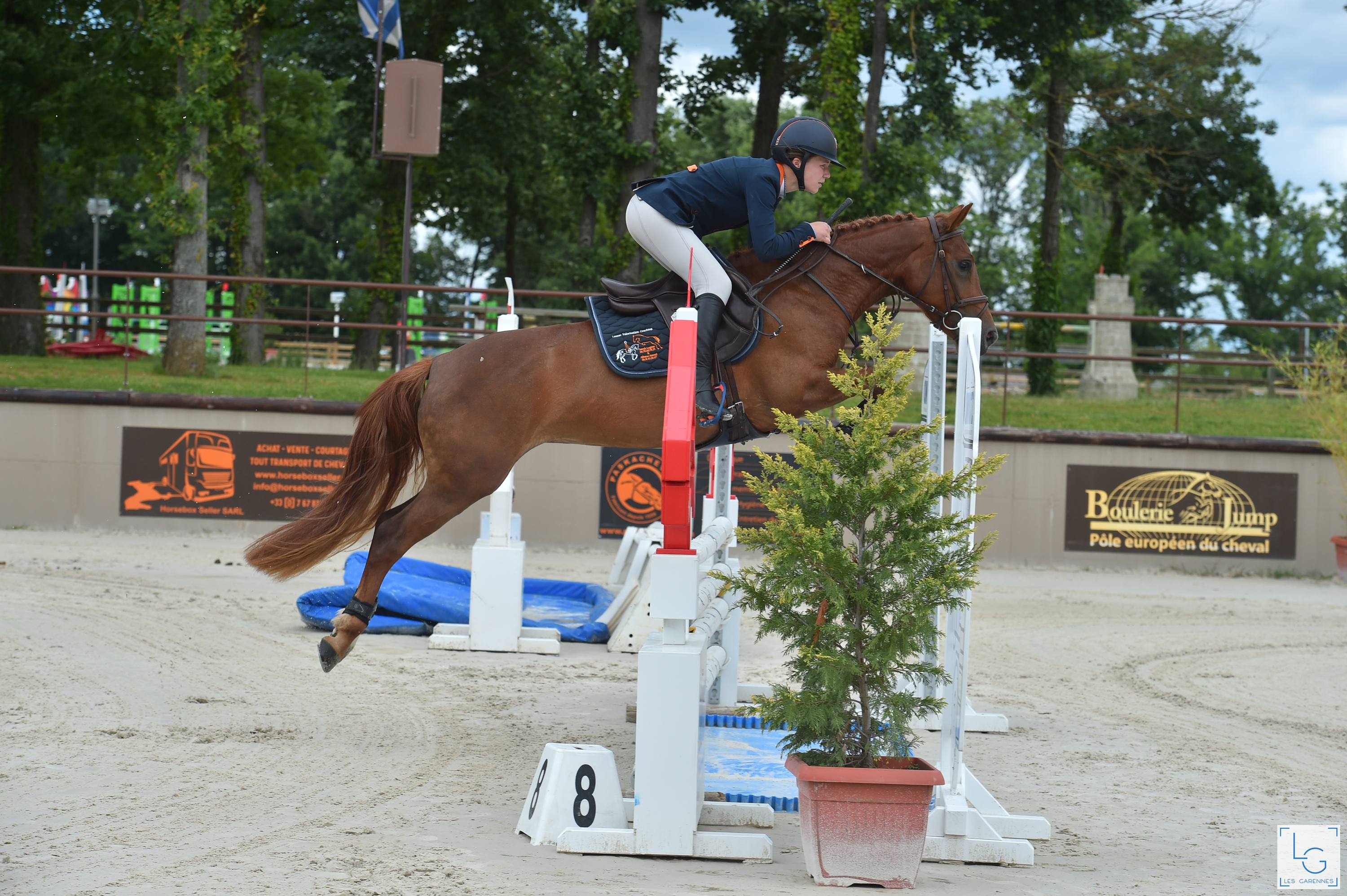 Image de l'annonce A vendre - Ponette D 4 ans pour As2 CSO/CCE
