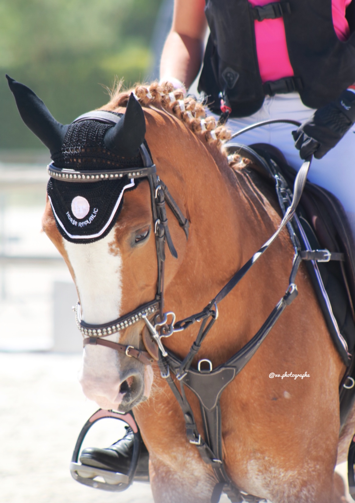 Image de l'annonce Ponette de sport classée chmpnt de France