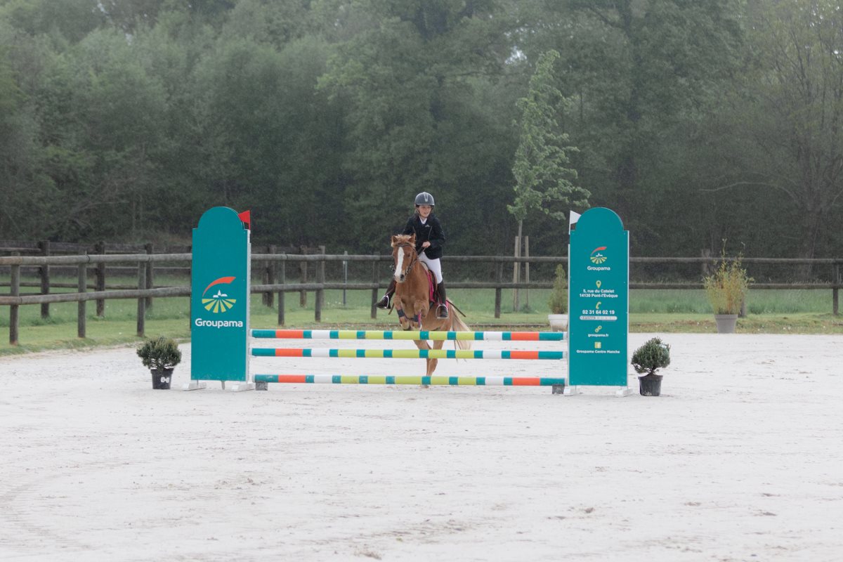Image de l'annonce Poney b ONC