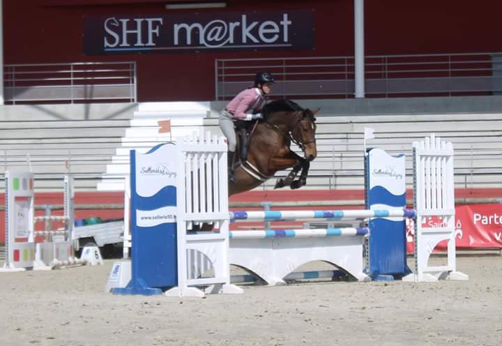 Image de l'annonce Très beau poney de 5 ans excellent à la finale CCJP